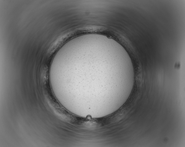 X0000115550119200911271443