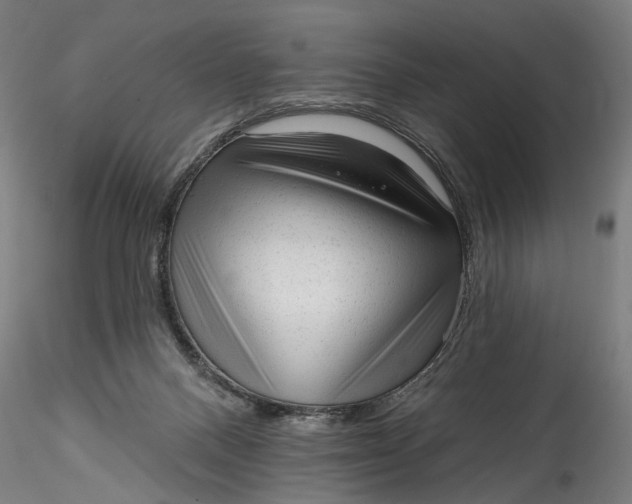 X0000115550120200911271443