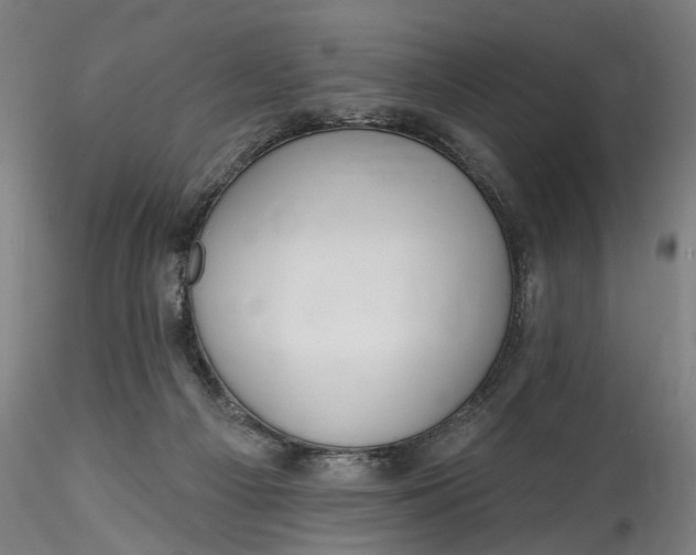 X0000115550121200911271443