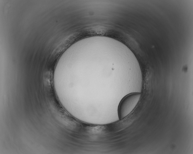 X0000115550122200911271443