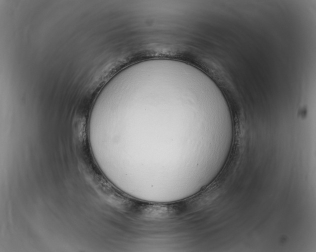 X0000115550123200911271442