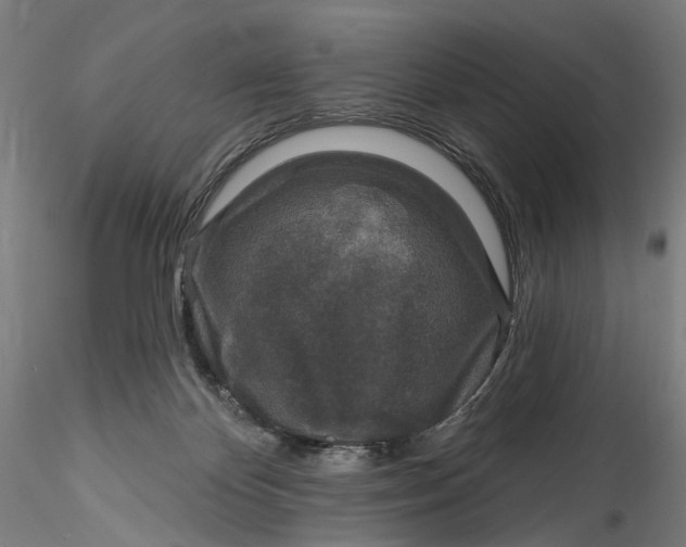 X0000115550124200911271442