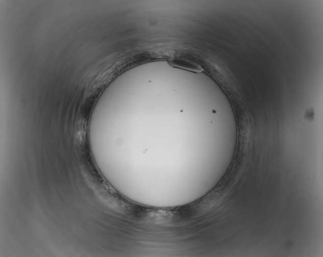 X0000115550125200911271442