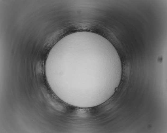 X0000115550126200911271442