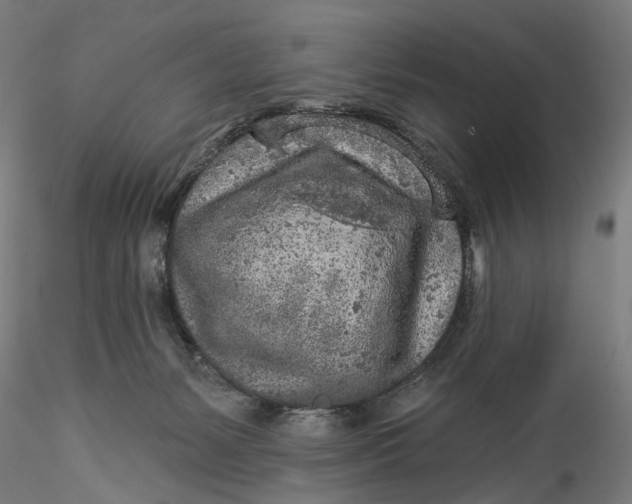 X0000115550127200911271442