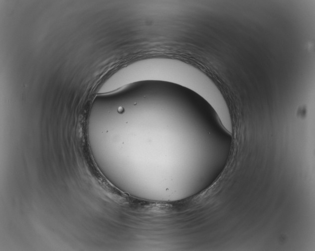 X0000115550128200911271442