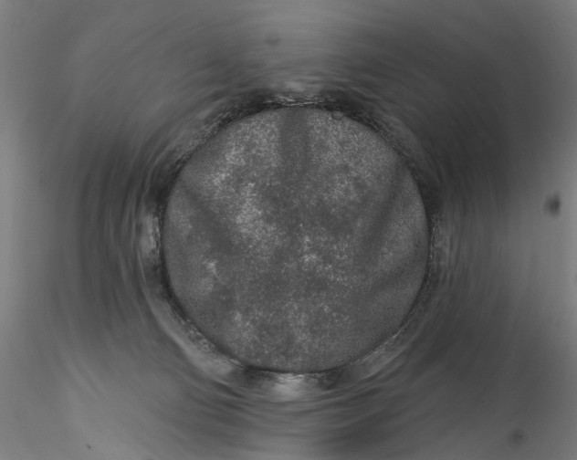 X0000115550130200911271442