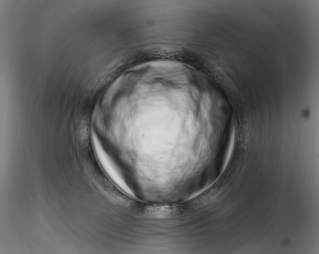 X0000115550131200911271442