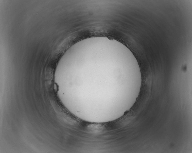 X0000115550133200911271442