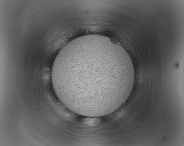 X0000115550135200911271442