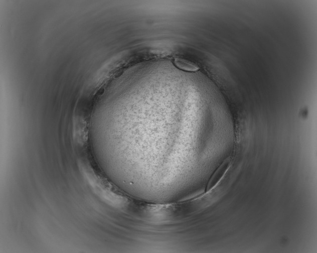 X0000115550136200911271442