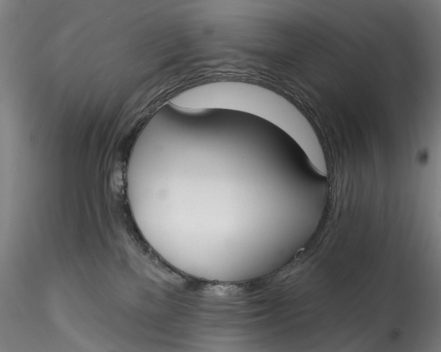 X0000115550137200911271442