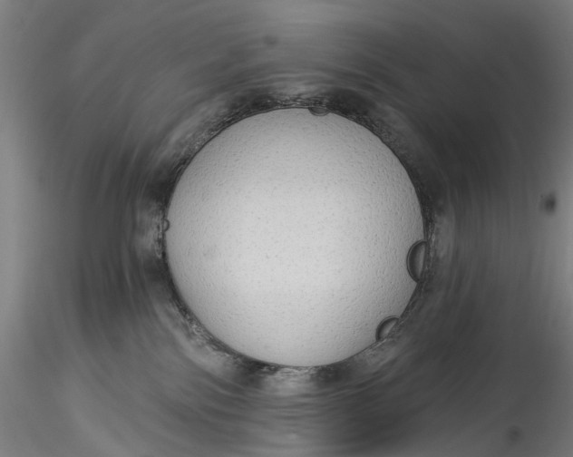 X0000115550138200911271442