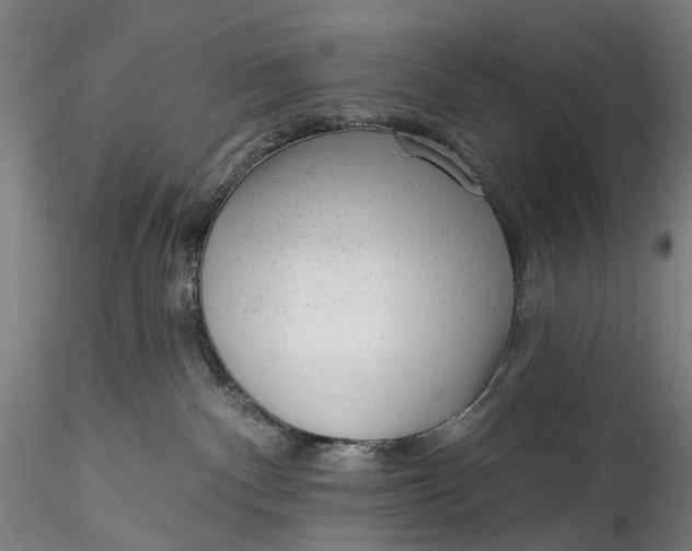 X0000115550140200911271442