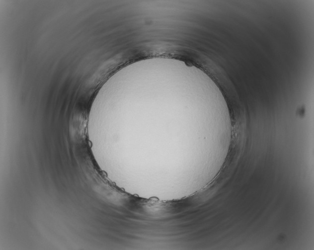 X0000115550142200911271442