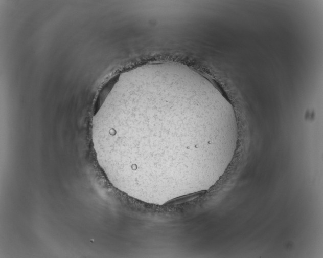 X0000115550144200911271442