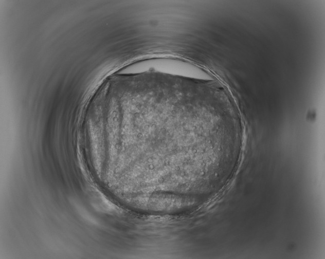 X0000115550145200911271441