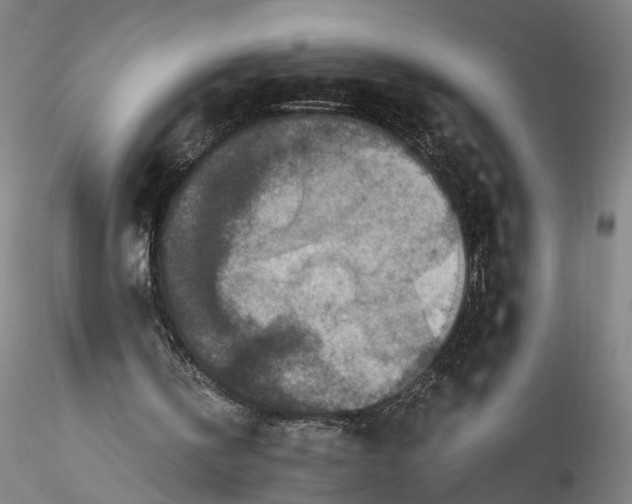 X0000115550146200911271441