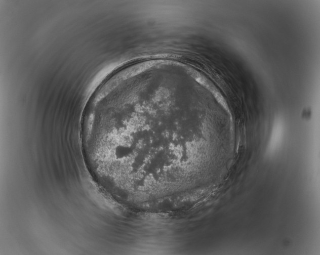 X0000115550147200911271441