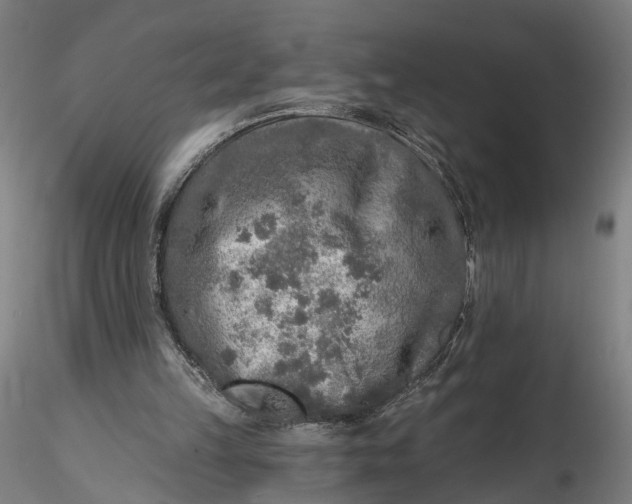 X0000115550149200911271441