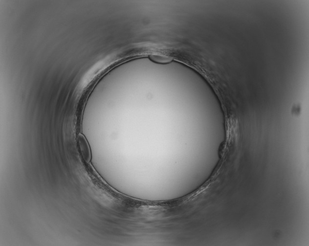 X0000115550150200911271441