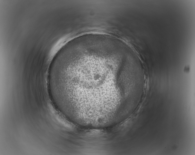 X0000115550151200911271441