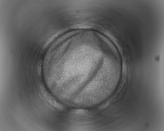 X0000115550153200911271441