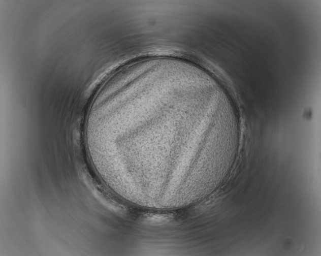 X0000115550155200911271442