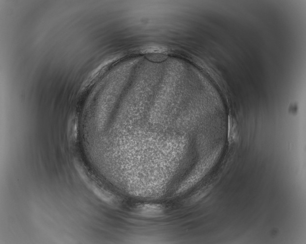 X0000115550157200911271442