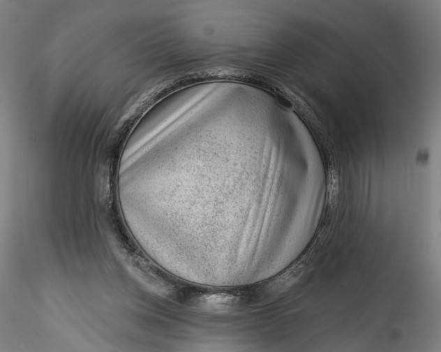 X0000115550158200911271442