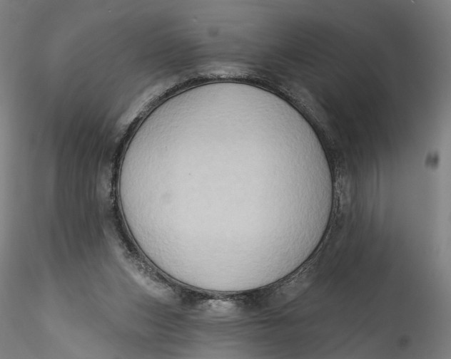 X0000115550159200911271442