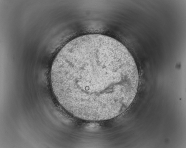 X0000115550162200911271442