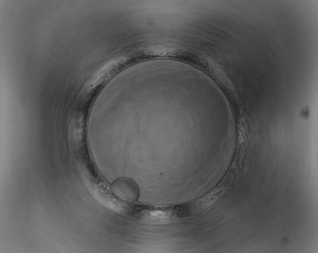 X0000115550163200911271442