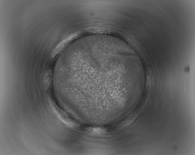 X0000115550165200911271442