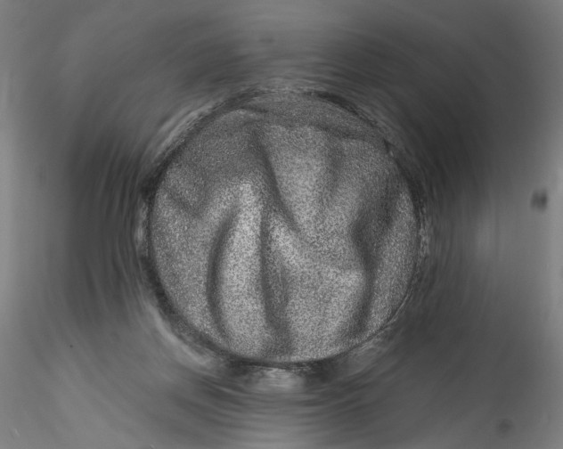 X0000115550166200911271442