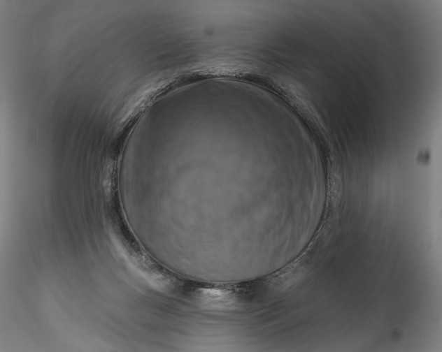 X0000115550167200911271442