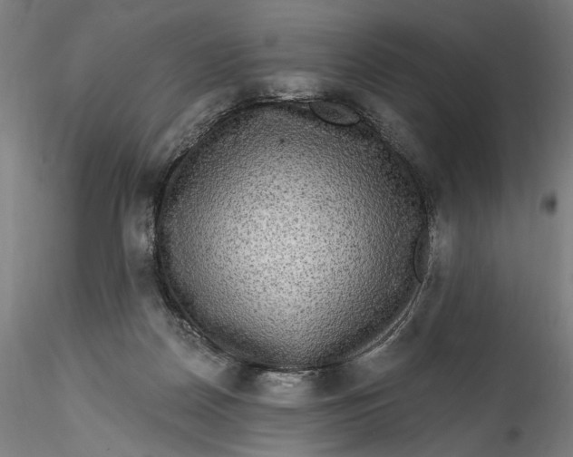 X0000115550170200911271442