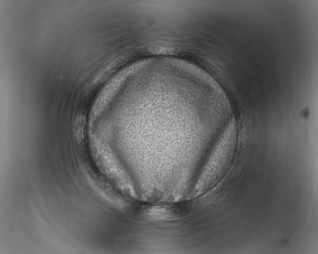 X0000115550171200911271442