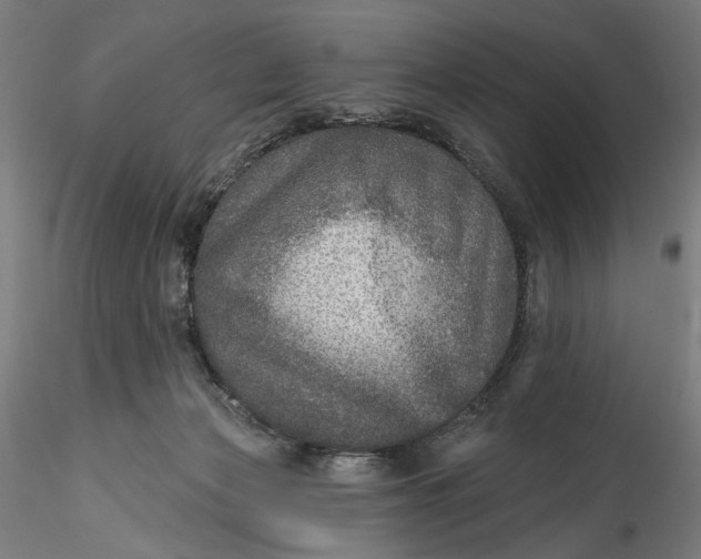 X0000115550173200911271442