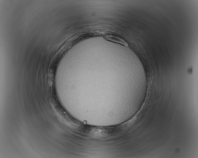 X0000115550174200911271442