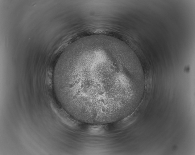 X0000115550175200911271442