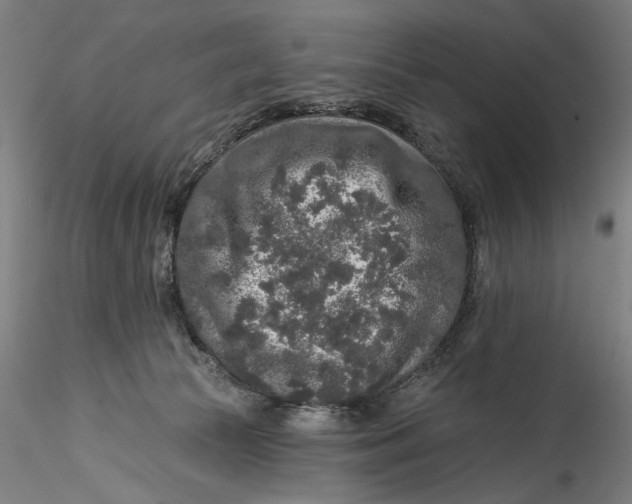 X0000115550177200911271442