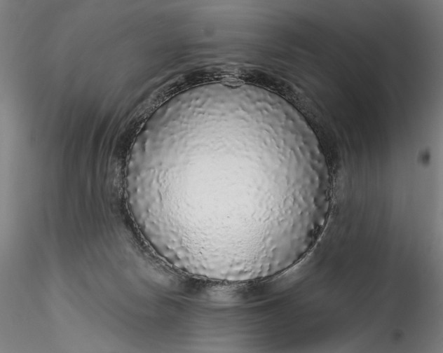 X0000115550178200911271442