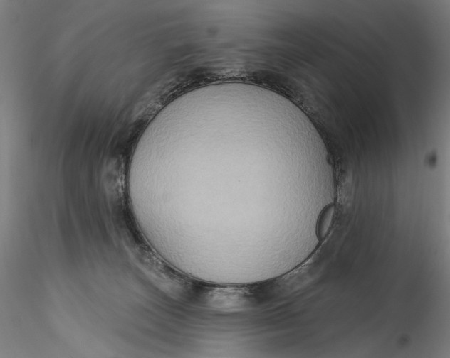 X0000115550179200911271442