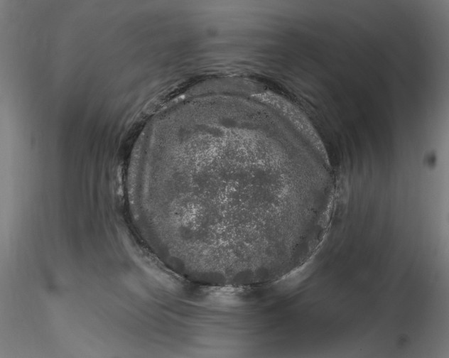 X0000115550182200911271442