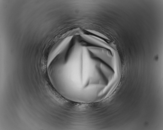 X0000115550186200911271442