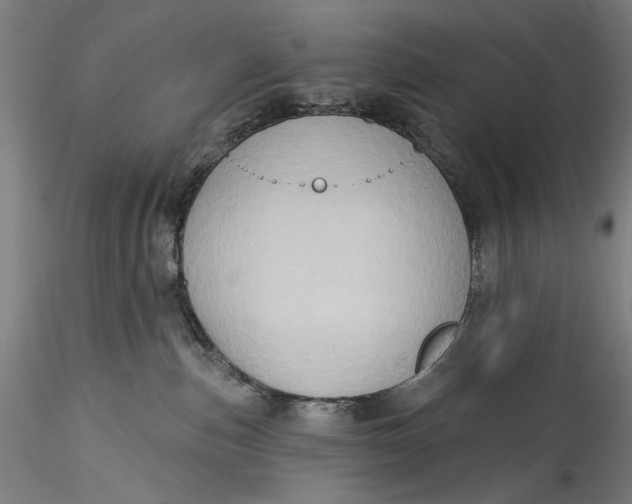 X0000115550187200911271442