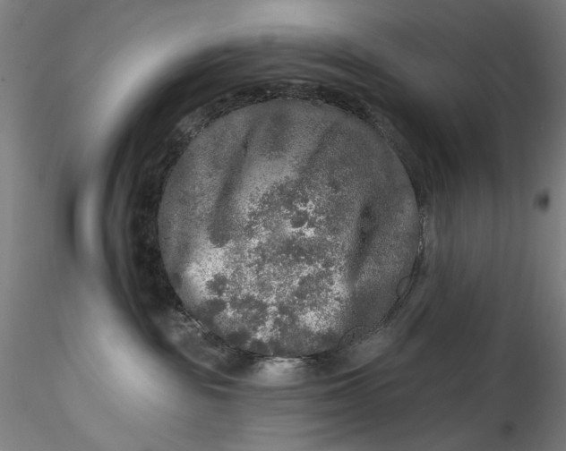 X0000115550189200911271442