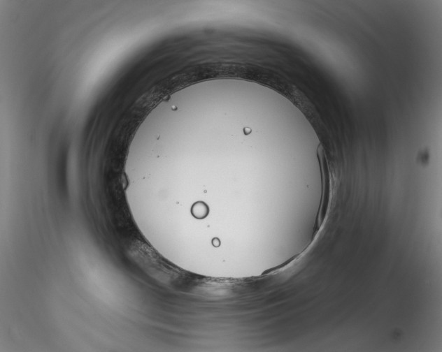 X0000115550190200911271442