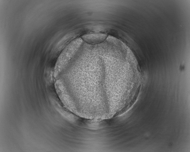 X0000115550191200911271442